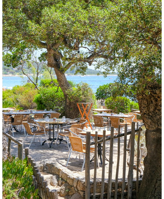 La Source - restaurant ZONZA - Porto Vecchio restaurant plage