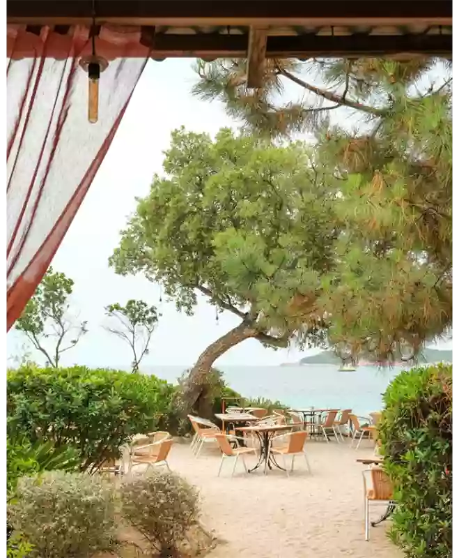 La Source - restaurant ZONZA - top resto ZONZA