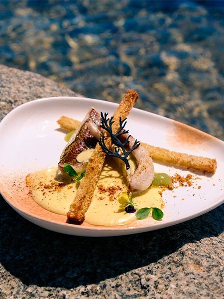 Restaurant - La Source - Restaurant Sainte Lucie de Porto Vecchio - top resto ZONZA